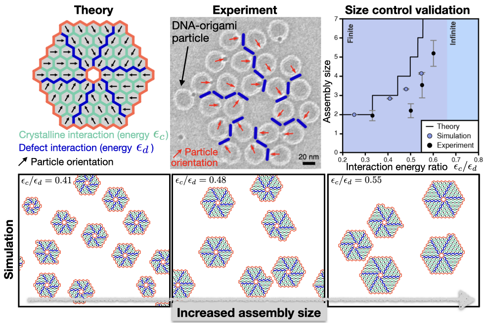 Engineering defects to build self-limiting nanostructures