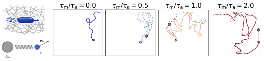 Does an environment's memory help or hurt swarming active particles?
